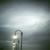 harbour lights